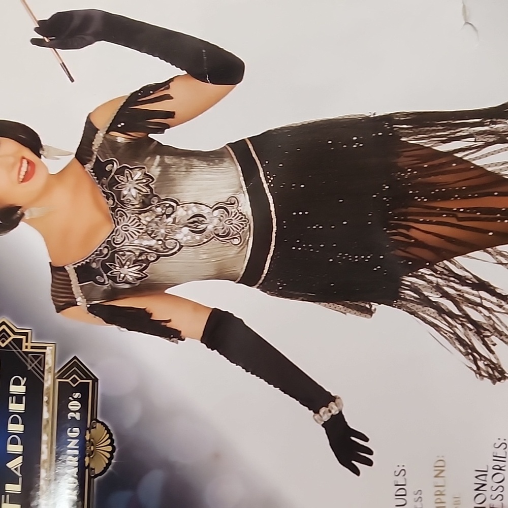 Elegant Black and Silver Flapper Midi Dress